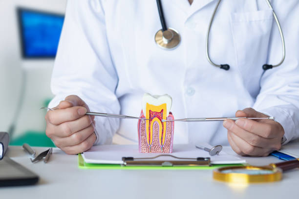 Best Walk-In Emergency Dental Services in Arthurtown, SC